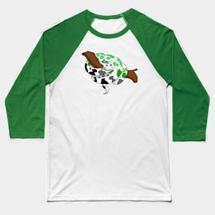 Python Pride Baseball T-Shirt